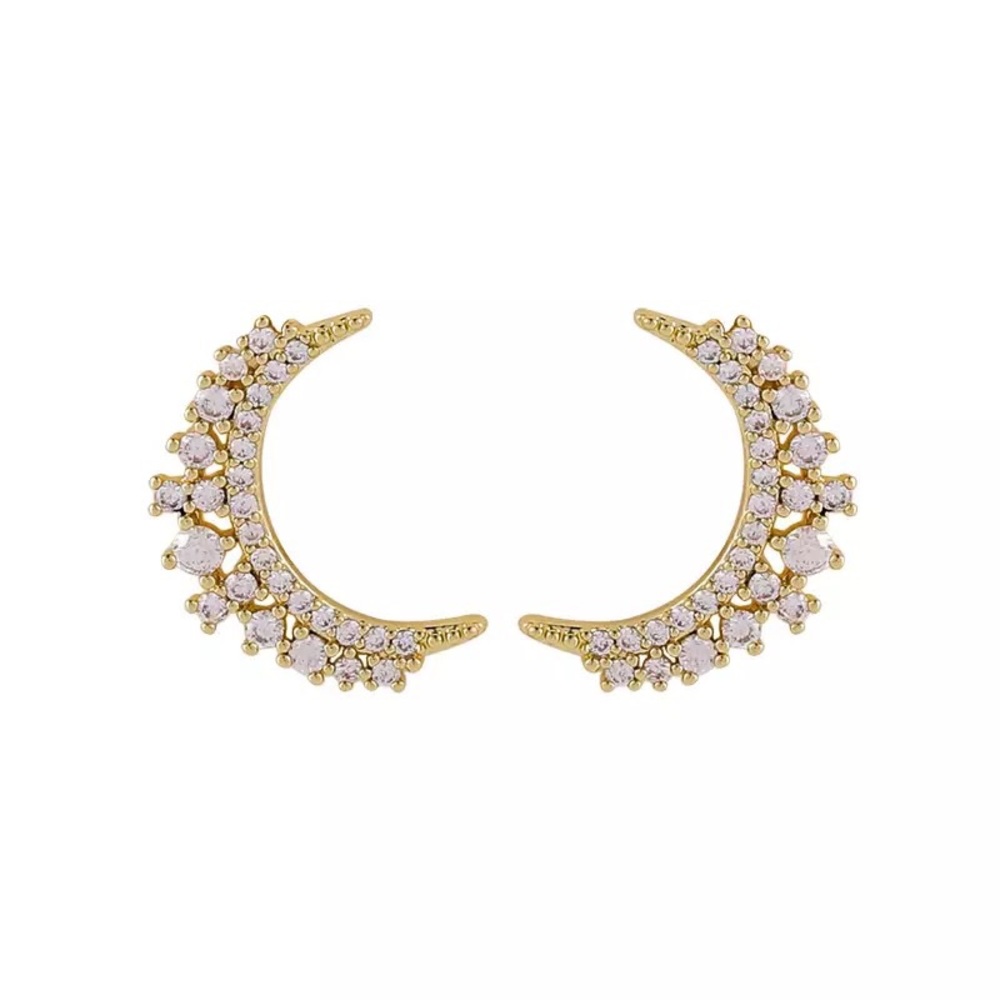 Crystal C shaped Earrings